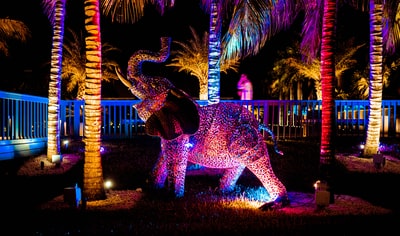 Palm trees beside the purple elephant statue at night
